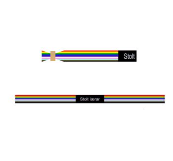  PRIDE armbånd (nynorsk)
